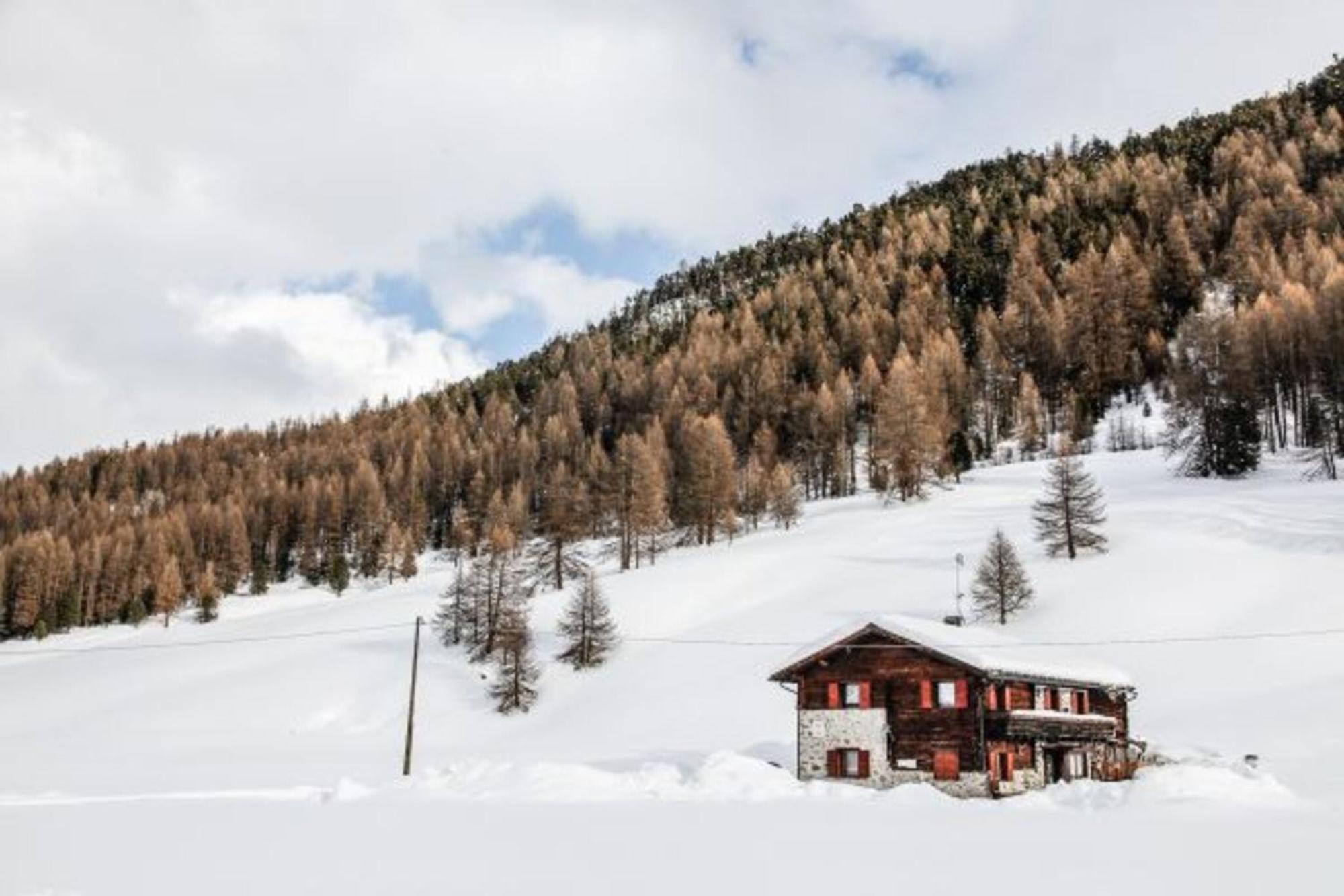 Appartamento Pizalegn Bait Da Rez Livigno Exterior foto