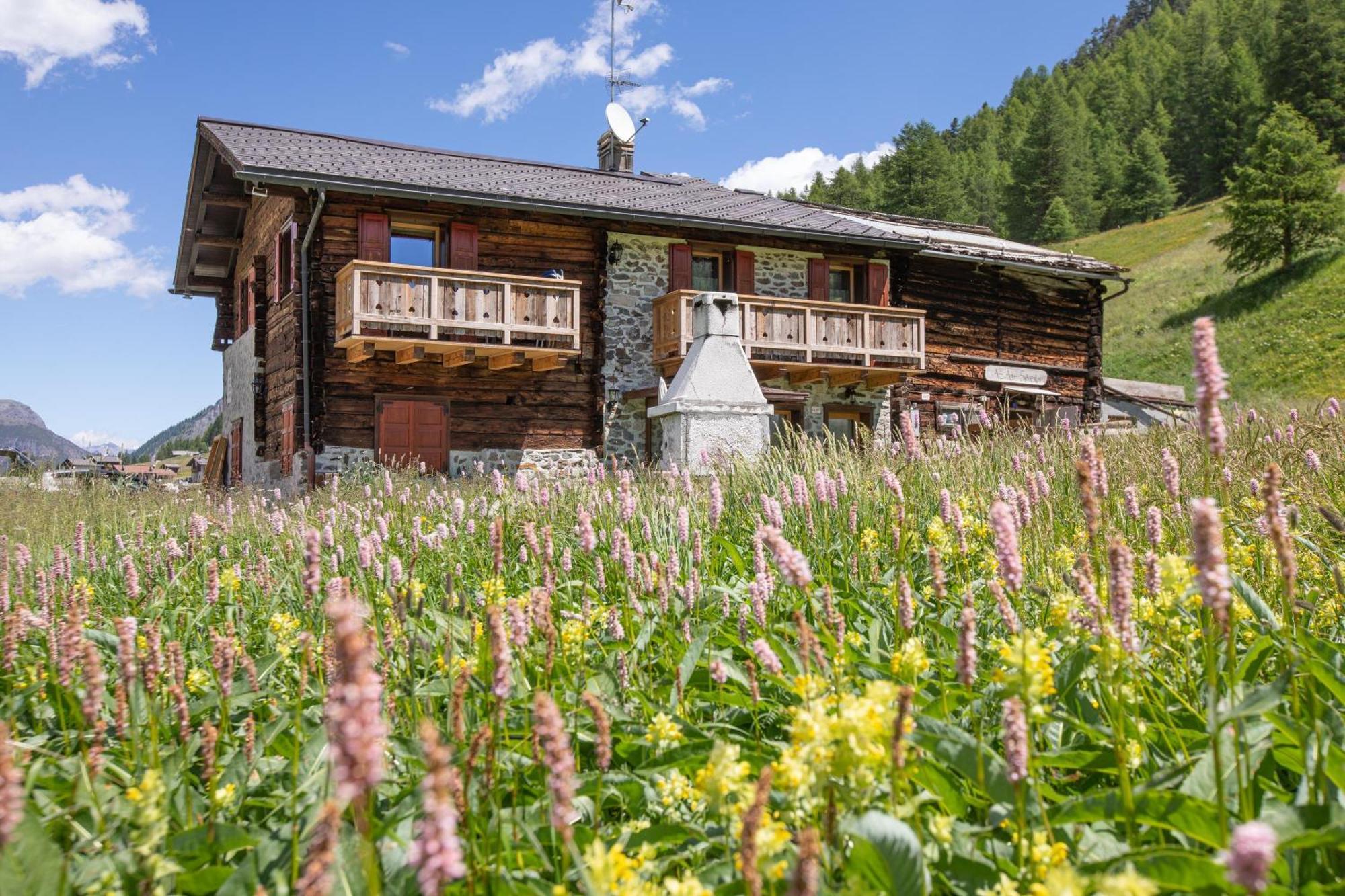 Appartamento Pizalegn Bait Da Rez Livigno Exterior foto